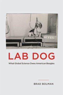 Cover Lab Dog
