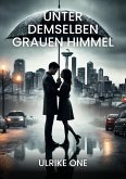 Unter demselben grauen Himmel (eBook, ePUB)