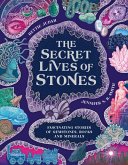 The Secret Lives of Stones The Secret Lives of Stones