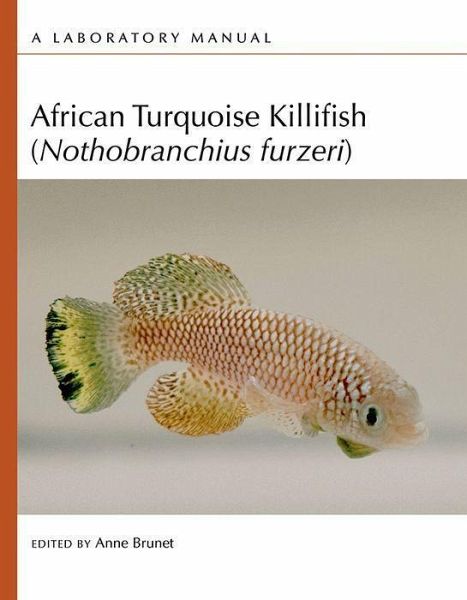 African Turquoise Killifish (Nothobranchius Furzeri): A Laboratory Manual African Turquoise Killifish (Nothobranchius Furzeri): A Laboratory Manual