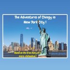 The Adventures of Chingy in New York City!