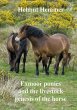 Exmoor ponies and the livestock genesis... - Bild 1