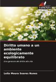 Diritto umano a un ambiente ecologicamente equilibrato