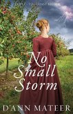 No Small Storm No Small Storm