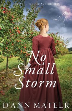 Cover No Small Storm