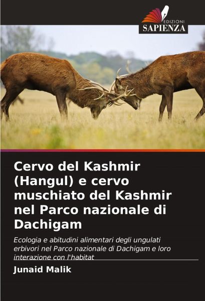 Cervo del Kashmir (Hangul) e cervo muschiato del Kashmir nel Parco nazionale di Dachigam Cervo del Kashmir (Hangul) e cervo muschiato del Kashmir nel Parco nazionale di Dachigam