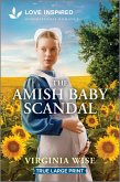 The Amish Baby Scandal The Amish Baby Scandal