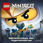 Geheimnisse der Hypnokobras (Band 17) (MP3-Download)