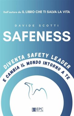 Cover Safeness (eBook, ePUB)