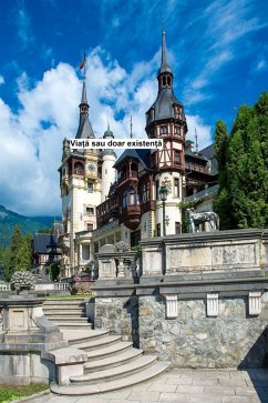 Cover Via¿a sau doar existen¿a (eBook, ePUB)