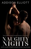 Naughty Nights (eBook, ePUB)