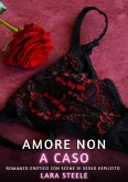 Amore non a Caso (eBook, ePUB) Amore non a Caso (eBook, ePUB)