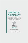 Anatomy and Physiology: The Nervous System and our Senses (eBook, ePUB) Anatomy and Physiology: The Nervous System and our Senses (eBook, ePUB)