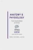 Anatomy and Physiology: The Endocrine System (eBook, ePUB)