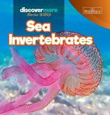 Sea Invertebrates Sea Invertebrates