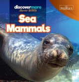 Sea Mammals