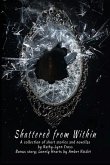 Shattered from Within Shattered from Within
