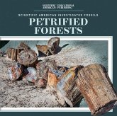 Petrified Forests