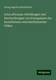 Artes africanae: Abbildungen und Beschreibungen von Erzeugnissen des Kunstfleisses centralafrikanischer Völker