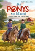 Schatzsuche auf vier Hufen / Die Ponys von Lillasund Bd.2