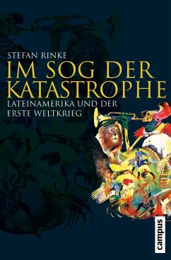 Cover Im Sog der Katastrophe (eBook, PDF)