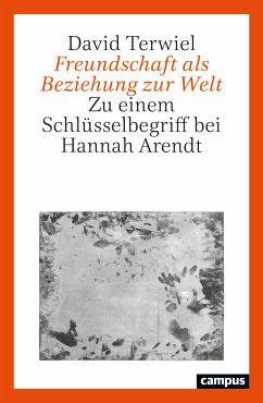 Freundschaft als Beziehung zur Welt (eBook, ePUB) - Terwiel, David