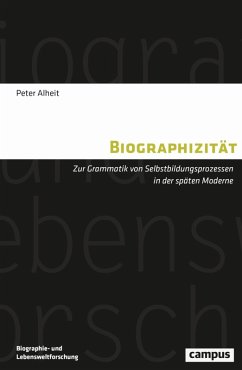 Cover Biographizität (eBook, ePUB)
