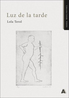 Cover Luz de la tarde