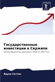 Gosudarstwennye inwesticii w Serzhipe