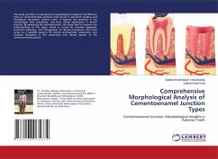 Cover Comprehensive Morphological Analysis of Cementoenamel Junction Types
