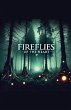 Fireflies Of The Heart - Bild 1