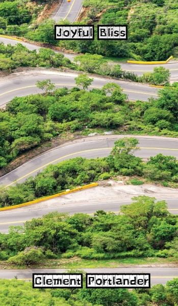 Joyful Bliss Joyful Bliss