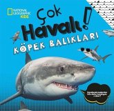 Cok Havali Köpek Baliklari