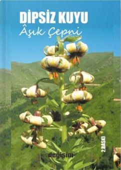 Cover Dipsiz Kuyu