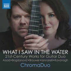 Cover What I Saw In The Water