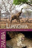 Luangwa River - Unique Wilderness in Africa Luangwa River - Unique Wilderness in Africa