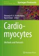 Cardiomyocytes - Bild 1