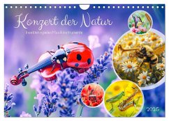 Konzert der Natur - Insekten spielen Musikinstrumente (Wandkalender 2025 DIN A4 quer), CALVENDO Monatskalender