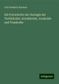 Die Fortschritte der Geologie der Tertiärkohle, Kreidekohle, Jurakohle und Triaskohle