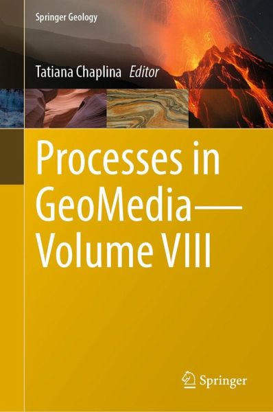 Processes in GeoMedia-Volume VIII (eBook, PDF)