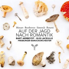 Auf Der Jagd Nach Romantik - Freiburger Barockorchester/Aerbeydt,Bart/Laceulle,