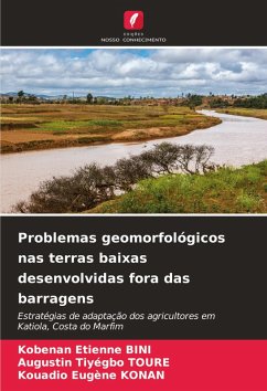 Cover Problemas geomorfológicos nas terras baixas desenvolvidas fora das barragens