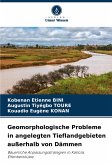 Geomorphologische Probleme in angelegten Tieflandgebieten außerhalb von Dämmen Geomorphologische Probleme in angelegten Tieflandgebieten außerhalb von Dämmen