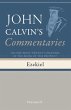 Commentaries on the First Twenty... - Bild 1