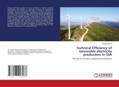 Cover Technical Efficiency of renewable electricity production in SSA