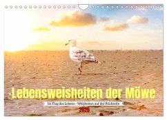 Lebensweisheiten der Möwe - Im Flug des Lebens (Wandkalender 2025 DIN A4 quer), CALVENDO Monatskalender