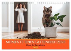 Momente eines Katzenbesitzers - Chaos der Samtpfoten (Wandkalender 2025 DIN A4 quer), CALVENDO Monatskalender