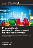 Producción de polifenoloxidasa a partir de Rhizopus arrhizus Producción de polifenoloxidasa a partir de Rhizopus arrhizus