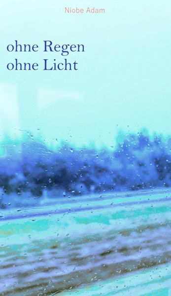 ohne Regen ohne Licht (eBook, ePUB) ohne Regen ohne Licht (eBook, ePUB)