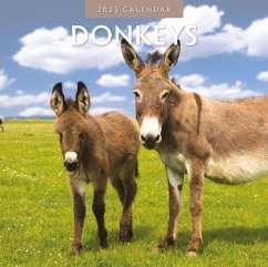 Cover Donkeys 2025 Square Wall Calendar